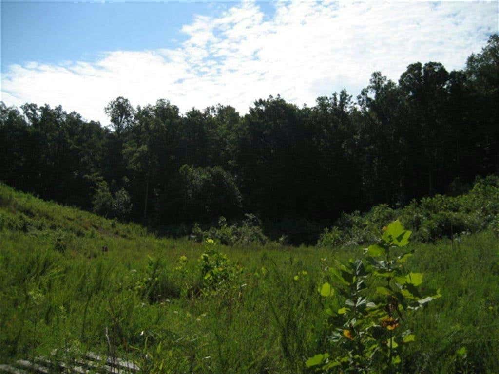 LOT #12 SHORT WHITE OAK, RUSSELL, KY 41139, photo 1