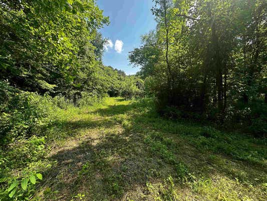 TRACT #5 HOLT ROAD, LOUISA, KY 41230 - Image 1