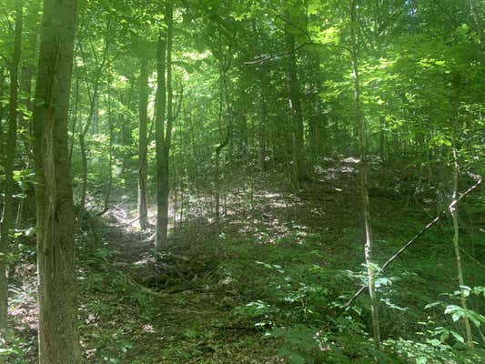 25 ACRES LAND FLEMING FORK, OLIVE HILL, KY 41164 - Image 1