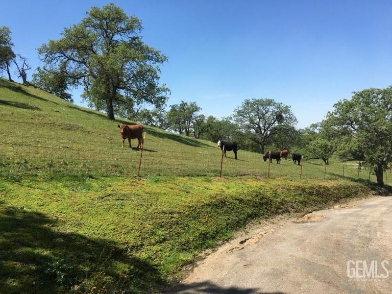 Bakersfield, California, 93308, United States, ,2 BathroomsBathrooms,Residential,Active,1839407