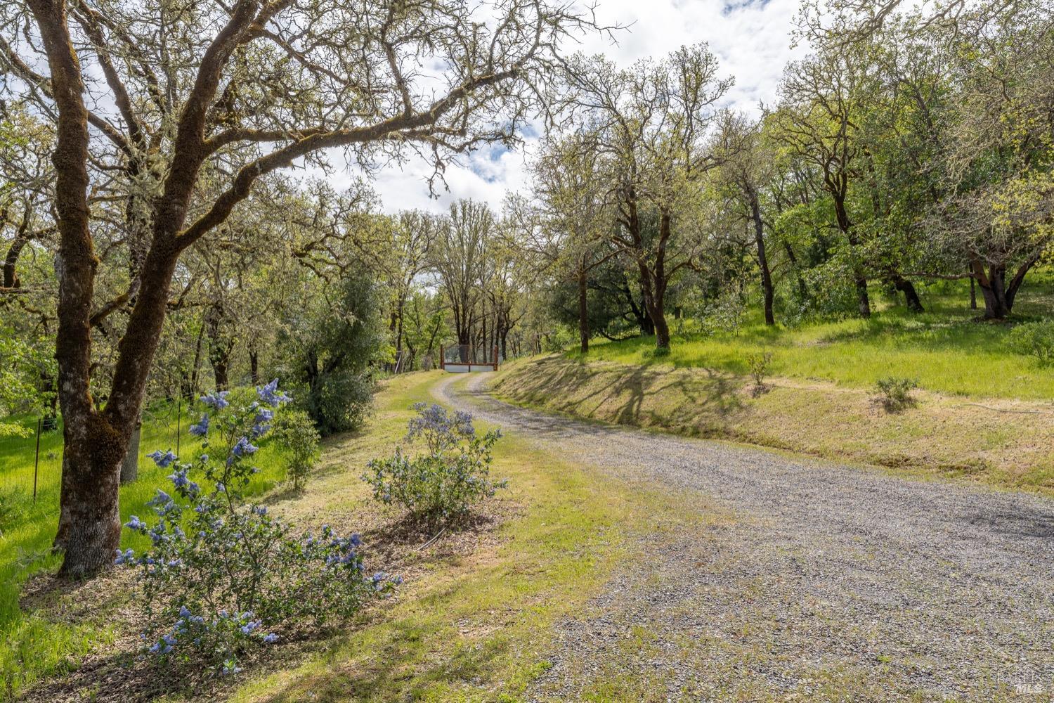 Ukiah, California, 95482, United States, 2 Bedrooms Bedrooms, ,1 BathroomBathrooms,Residential,Active,1798067