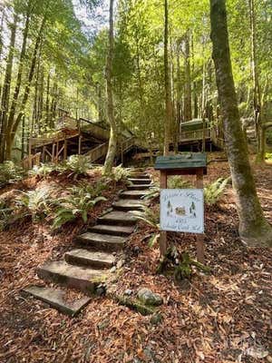 4505 AUSTIN CREEK RD, CAZADERO, CA 95421 - Image 1