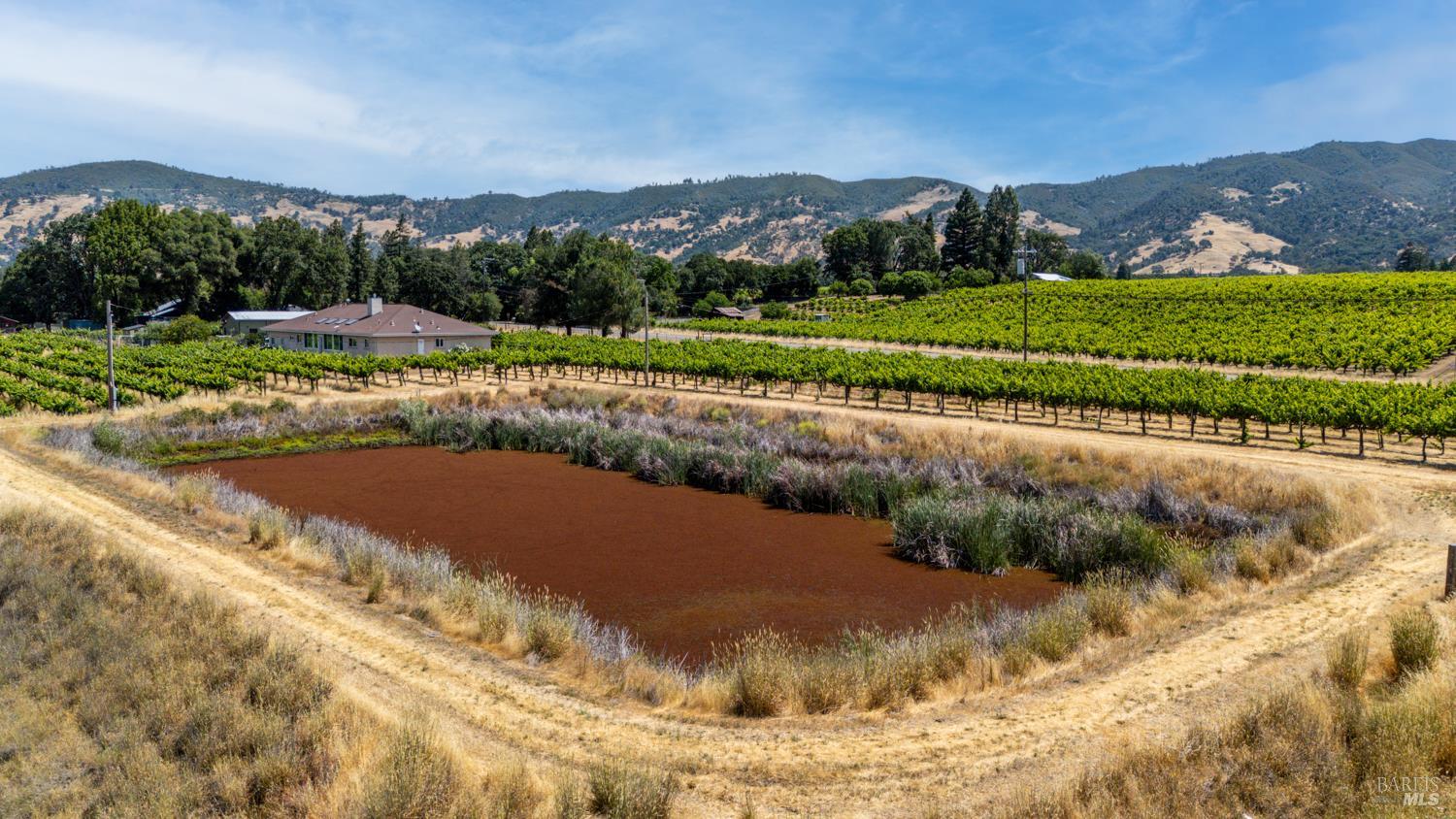 Redwood Valley, California, 95470, United States, 4 Bedrooms Bedrooms, ,3 BathroomsBathrooms,Residential,Active,1960148