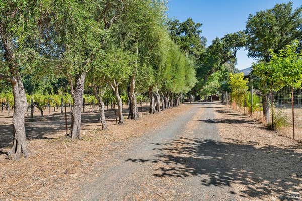 0 SAINT HELENA HIGHWAY, CALISTOGA, CA 94515 - Image 1