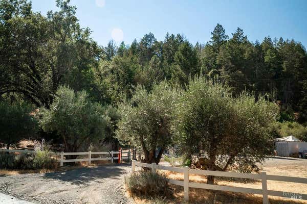 0 MOUNT VEEDER ROAD, ST. HELENA, CA 94574 - Image 1