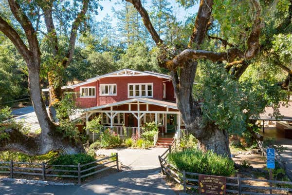 4100 PETRIFIED FOREST RD, CALISTOGA, CA 94515 - Image 1