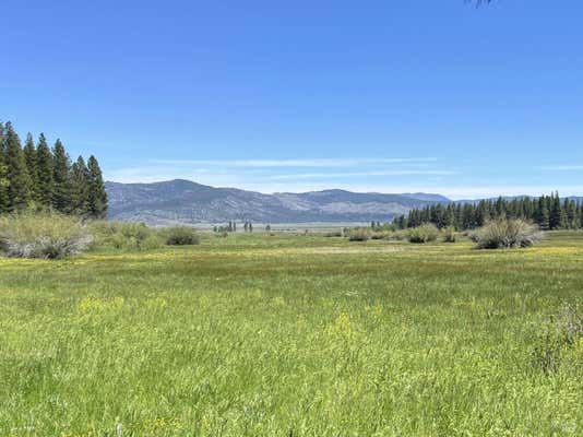 300 MEADOW RANCH RD, CALPINE, CA 96124 - Image 1