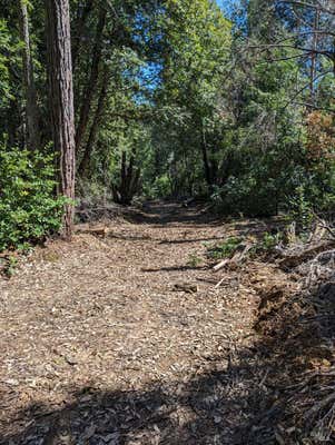 30928 KING RIDGE RD, CAZADERO, CA 95421 - Image 1