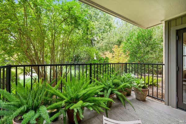 202 FOSS CREEK CIR APT C, HEALDSBURG, CA 95448 - Image 1