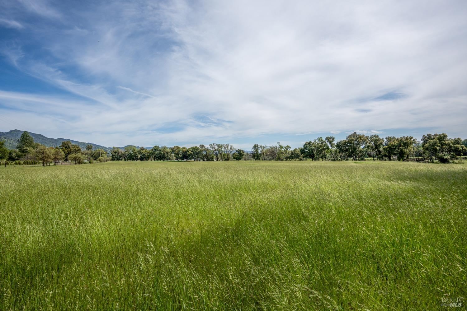 Redwood Valley, California, 95470, United States, ,5 BathroomsBathrooms,Residential,Active,1778701