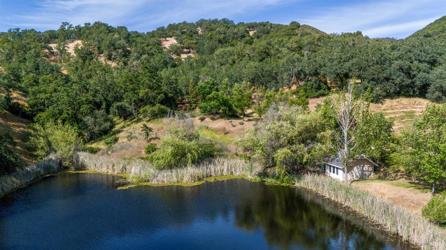 Hopland, California, 95449, United States, 3 Bedrooms Bedrooms, ,2 BathroomsBathrooms,Residential,Active,1821945