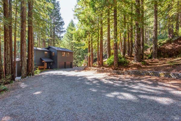 16220 BITTNER RD, OCCIDENTAL, CA 95465 - Image 1