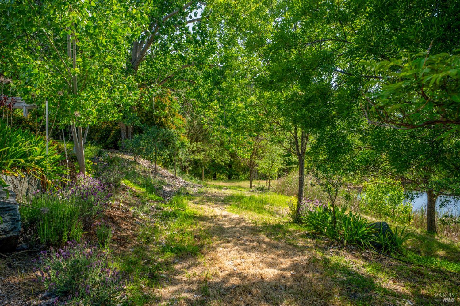 Hopland, California, 95449, United States, 3 Bedrooms Bedrooms, ,2 BathroomsBathrooms,Residential,Active,1821945