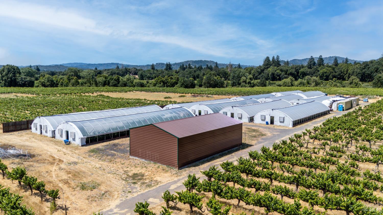 Redwood Valley, California, 95470, United States, 4 Bedrooms Bedrooms, ,3 BathroomsBathrooms,Residential,Active,1960148