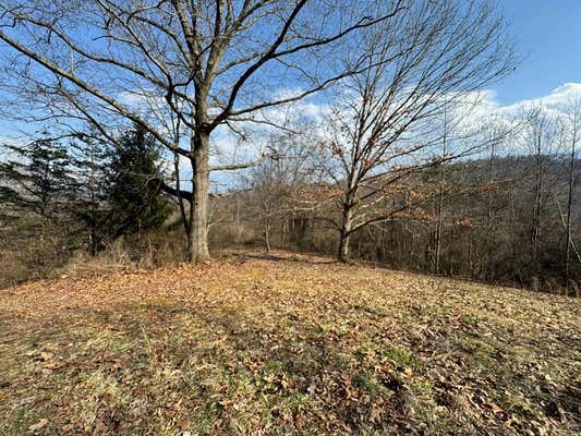 000 BEE BRANCH ROAD, MT. HOPE, WV 25880 - Image 1