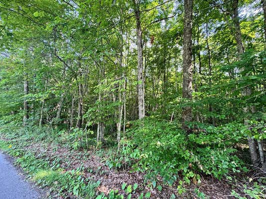 TBD OLD GRANDVIEW ROAD, GRANDVIEW, WV 25813 - Image 1