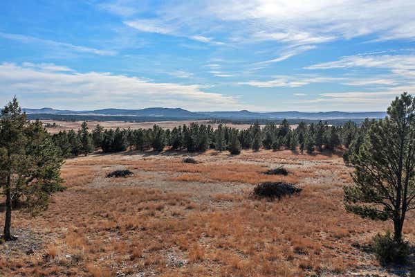 26867 STAGE STOP RD, HOT SPRINGS, SD 57747, photo 2 of 16