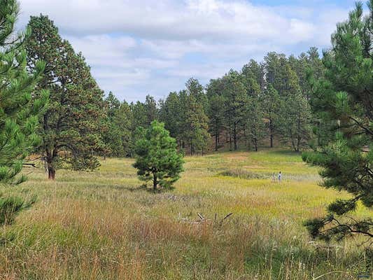 TBD HAUGAN TRAIL, HERMOSA, SD 57744 - Image 1