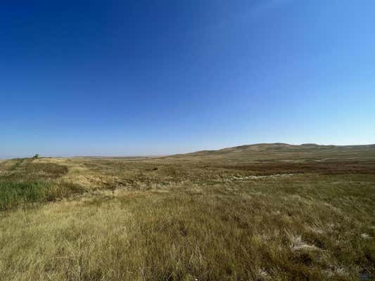 TBD PARCEL 8 DANCING WOLF RD, CAPUTA, SD 57725 - Image 1