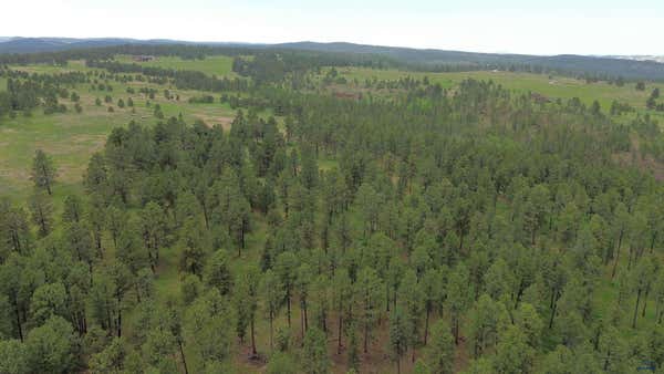 LOT 4 SUN RIDGE RD, RAPID CITY, SD 57702, photo 4 of 7