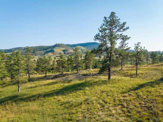 TBD STARDUST PASS, HOT SPRINGS, SD 57745, photo 2 of 17