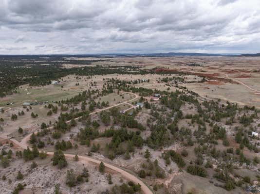 TBD TIMBER TRAIL, CUSTER, SD 57730 - Image 1