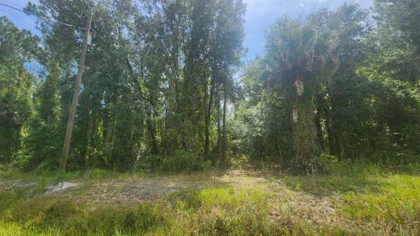 119 LAISY DR, GEORGETOWN, FL 32139 - Image 1