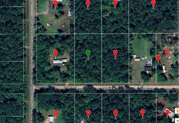 4790 CATHERINE ST, HASTINGS, FL 32145 - Image 1