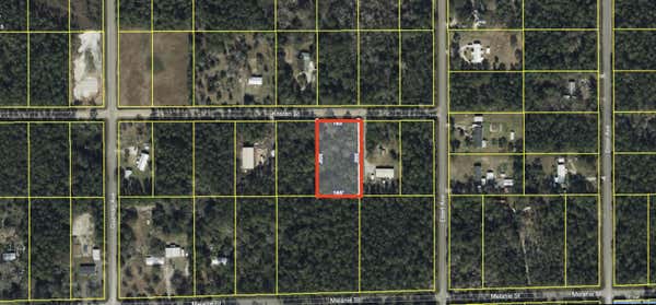 4225 KRISTEN ST, HASTINGS, FL 32145 - Image 1