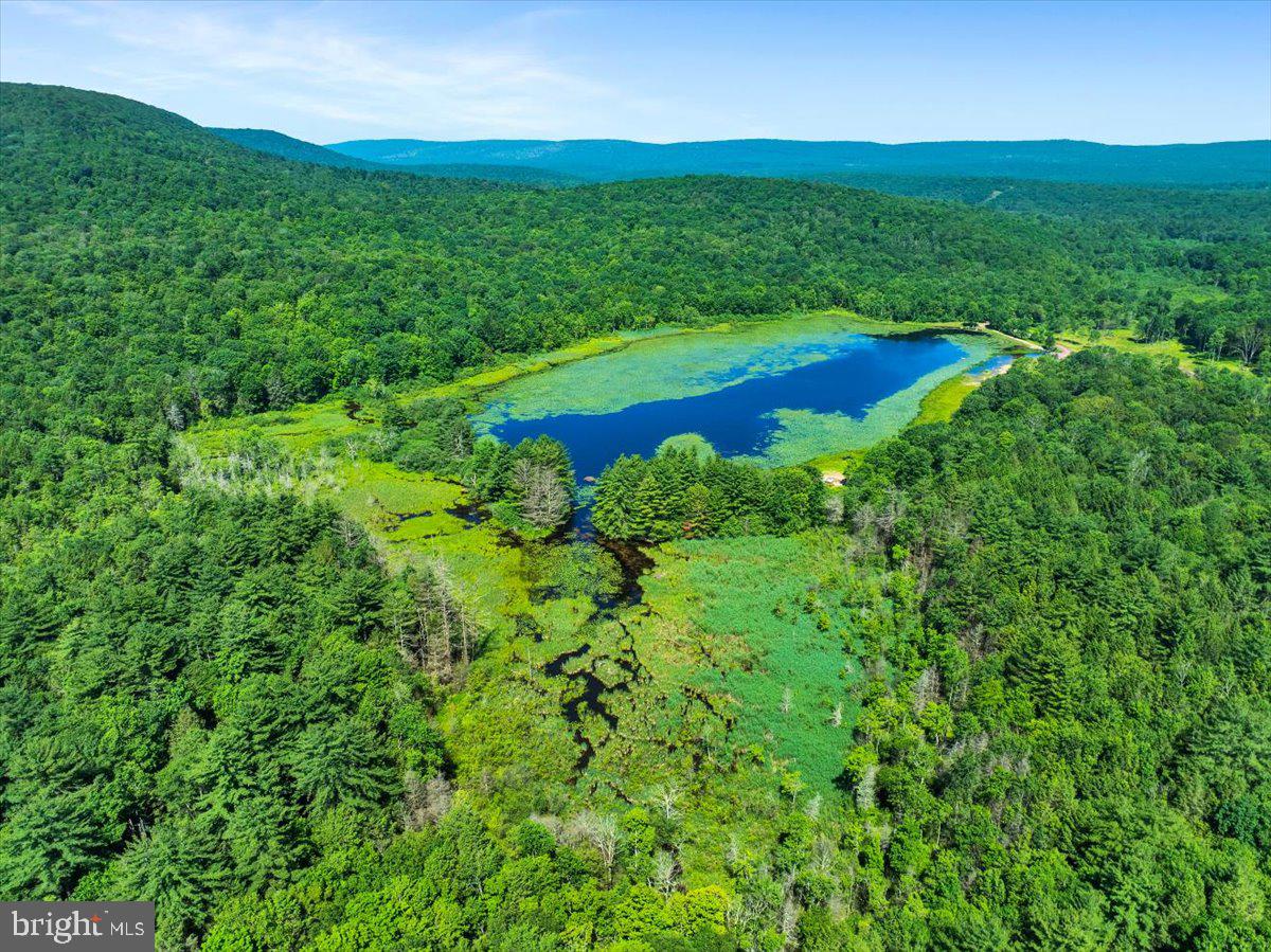 White Haven, Pennsylvania, 18661, United States, 5 Bedrooms Bedrooms, ,3 BathroomsBathrooms,Residential,Active,1888981