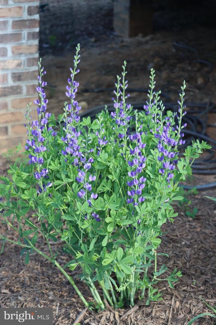 Bumpass, Virginia, 23024, United States, 1 Bedroom Bedrooms, ,2 BathroomsBathrooms,Residential,Active,1953381