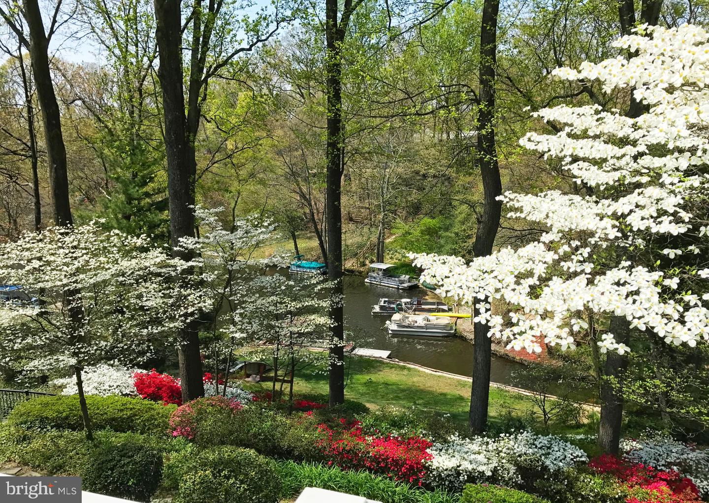 Falls Church, Virginia, 22041, United States, ,3 BathroomsBathrooms,Residential,Active,1843858