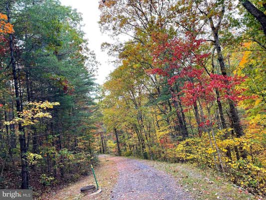 0 BASSWOOD, MOUNT JACKSON, VA 22842, photo 3 of 5