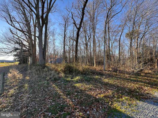 LOT 1 N PINEY NECK RD, DAGSBORO, DE 19939, photo 3 of 3