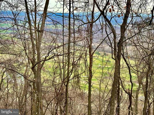 71 ACRES BLAIRS VALLEY ROAD, MERCERSBURG, PA 17236, photo 4 of 48