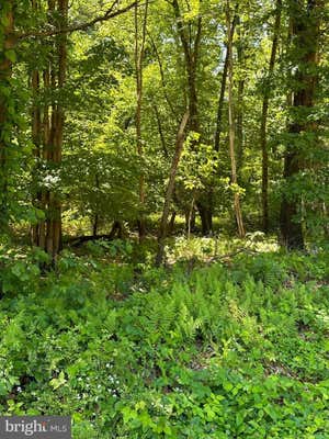 0 KLINE HOLLOW RD LOT 6, LIVERPOOL, PA 17045 - Image 1