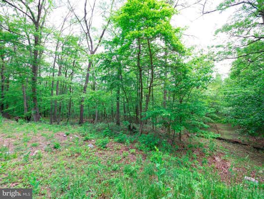 LOT 37 POPLAR TRL, WINCHESTER, VA 22602 - Image 1