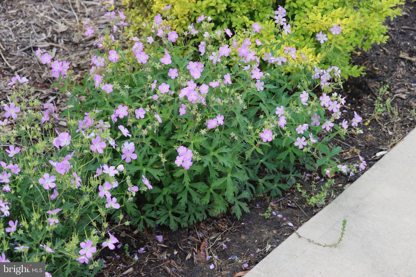 Bumpass, Virginia, 23024, United States, 1 Bedroom Bedrooms, ,2 BathroomsBathrooms,Residential,Active,1953381