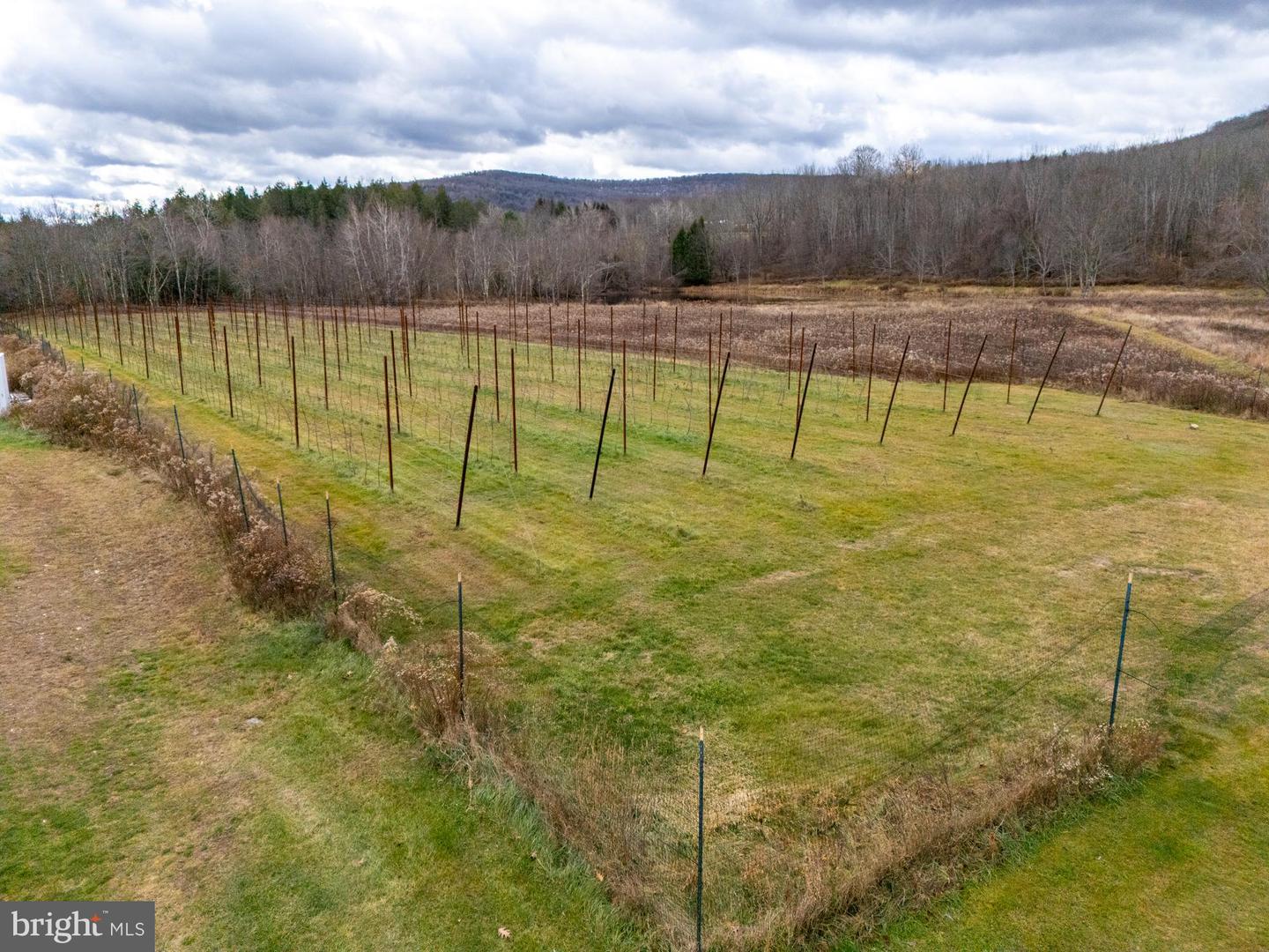 Waymart, Pennsylvania, 18472, United States, 4 Bedrooms Bedrooms, ,2 BathroomsBathrooms,Residential,Active,2007156