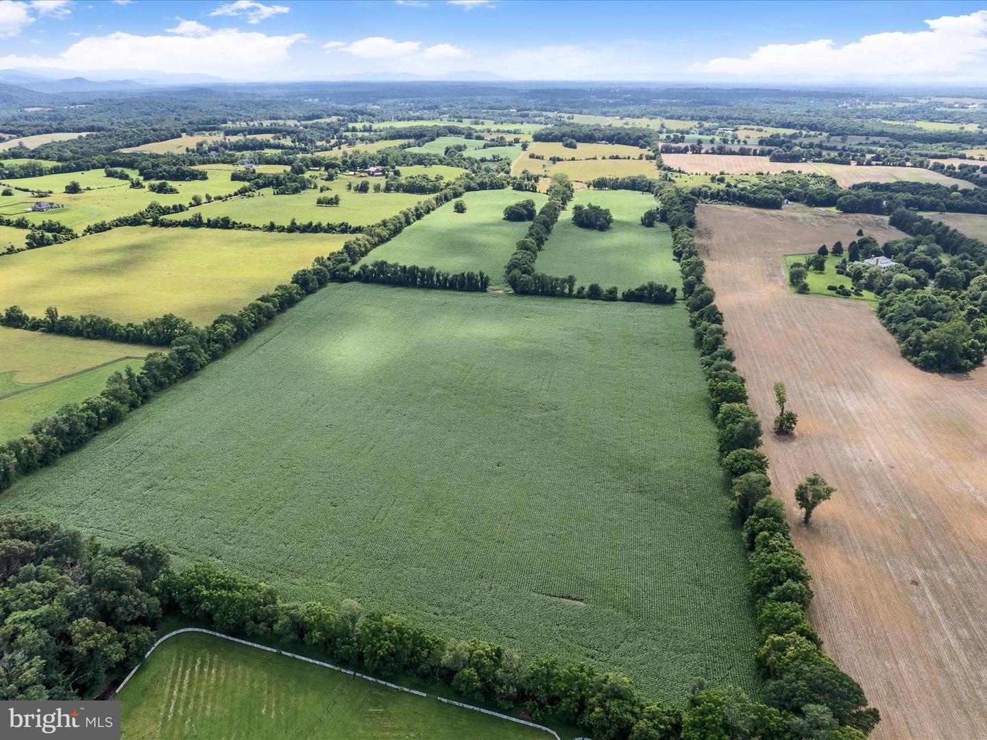 Berryville, Virginia, 22611, United States, 4 Bedrooms Bedrooms, ,3 BathroomsBathrooms,Residential,Active,1884871