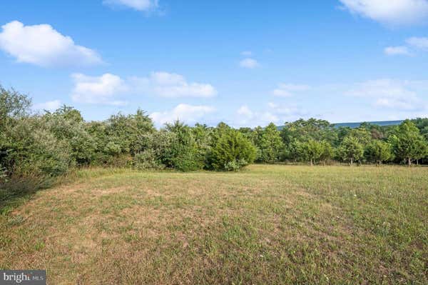 L10 PARISHVILLE ROAD, GORE, VA 22637 - Image 1