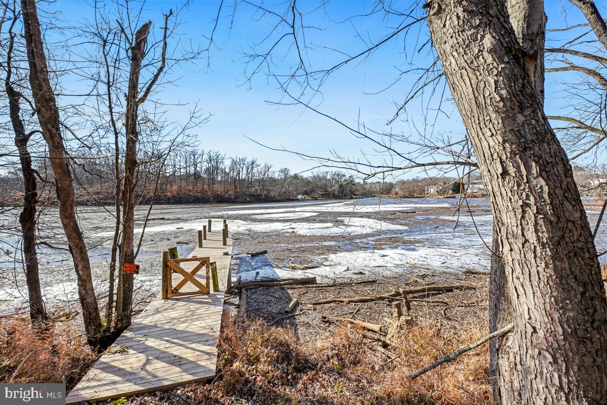 Alexandria, Virginia, 22308, United States, 3 Bedrooms Bedrooms, ,3 BathroomsBathrooms,Residential,Active,2006768