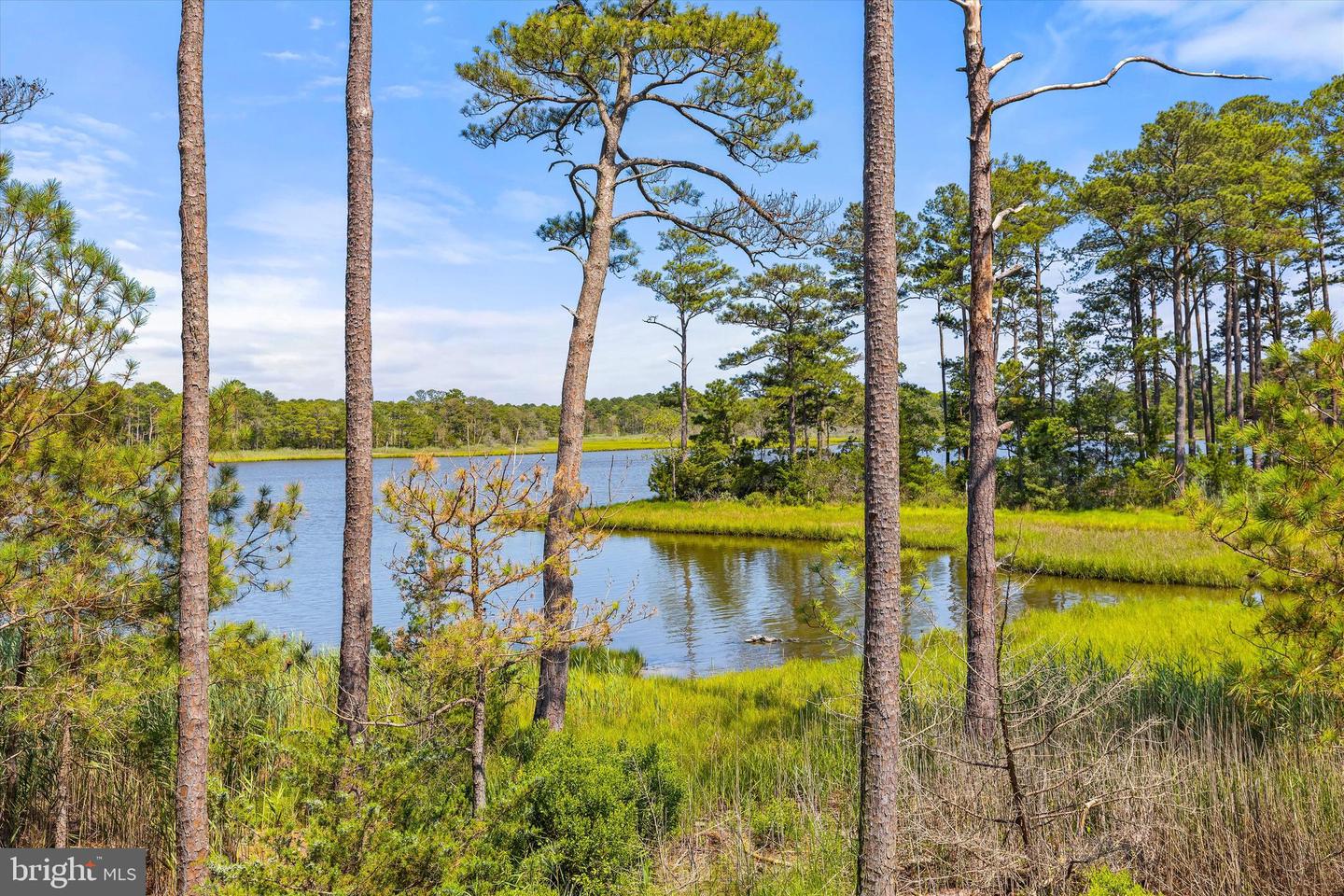 Berlin, Maryland, 21811, United States, 6 Bedrooms Bedrooms, ,5 BathroomsBathrooms,Residential,Active,1893241