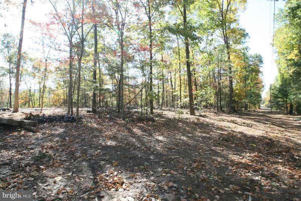 000 BUCK TRAIL, SHADE GAP, PA 17255 - Image 1