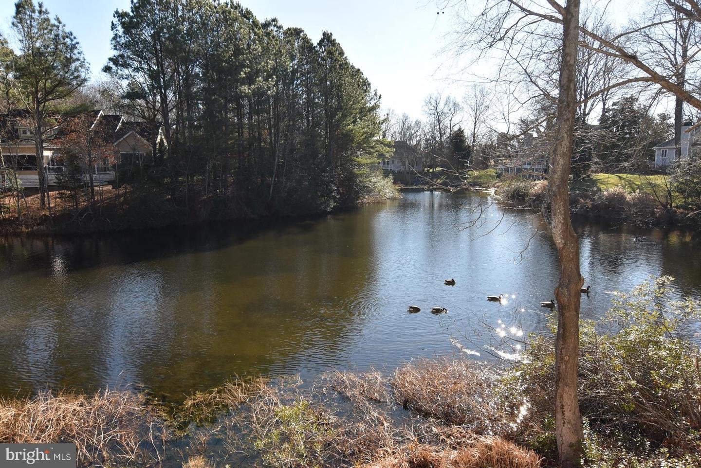 Rehoboth Beach, Delaware, 19971, United States, 3 Bedrooms Bedrooms, ,3 BathroomsBathrooms,Residential,Active,2009396