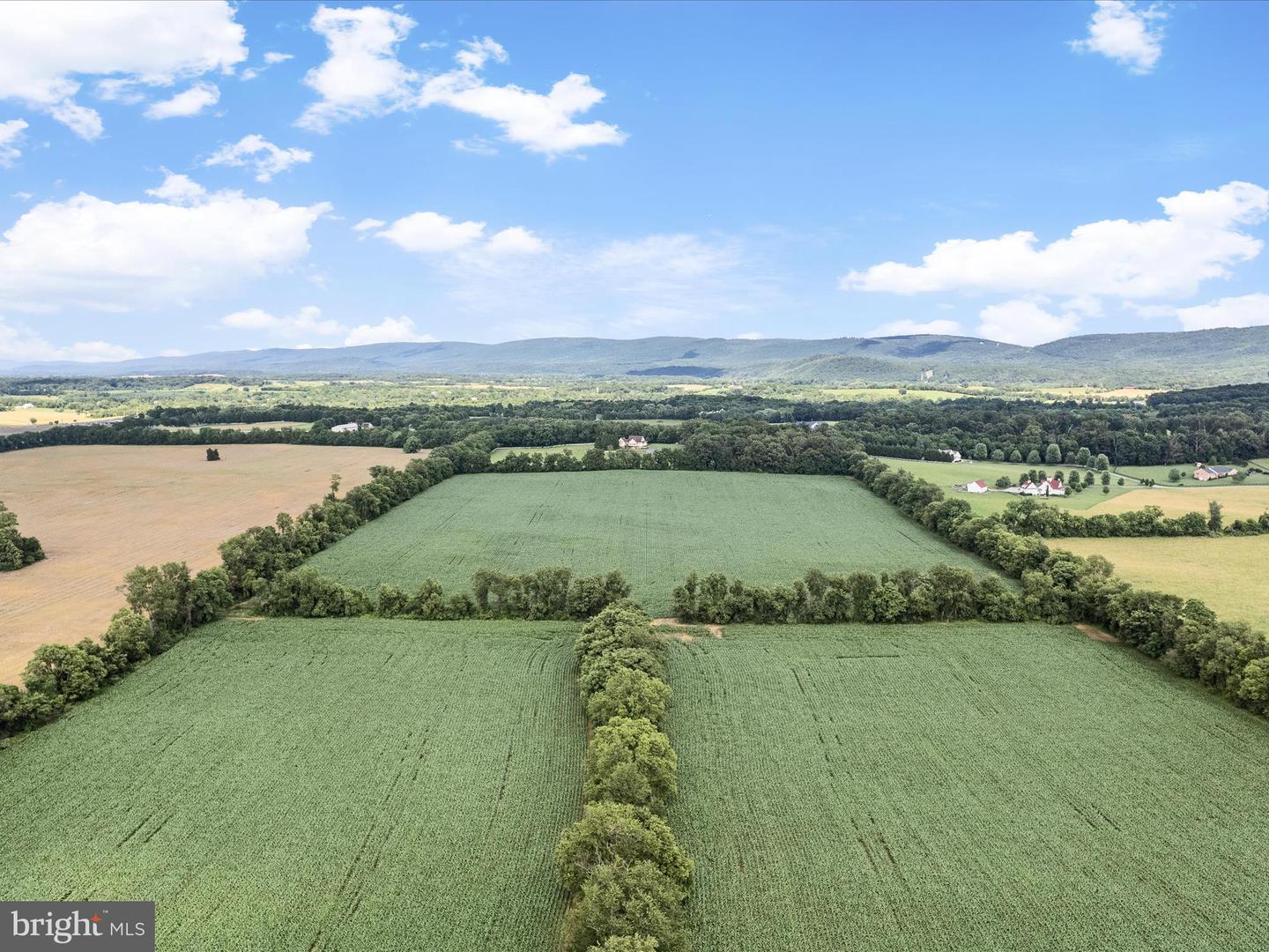 Berryville, Virginia, 22611, United States, 4 Bedrooms Bedrooms, ,3 BathroomsBathrooms,Residential,Active,1884871