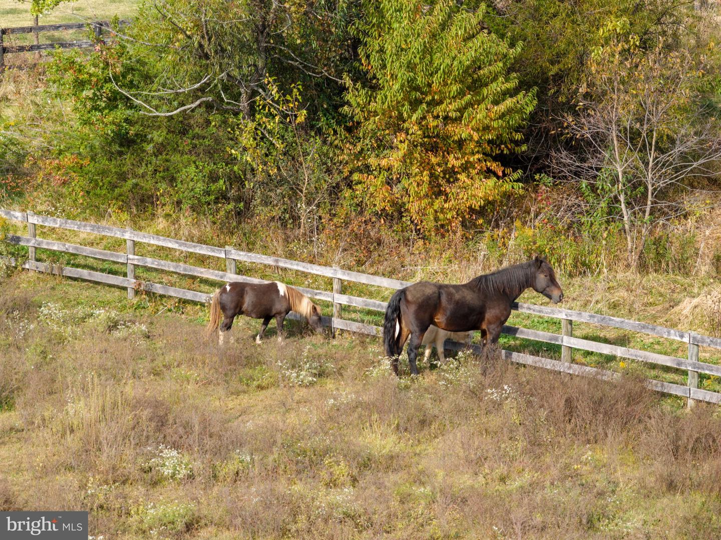 Leesburg, Virginia, 20175, United States, 4 Bedrooms Bedrooms, ,5 BathroomsBathrooms,Residential,Active,2011862