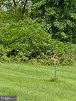 Property 51