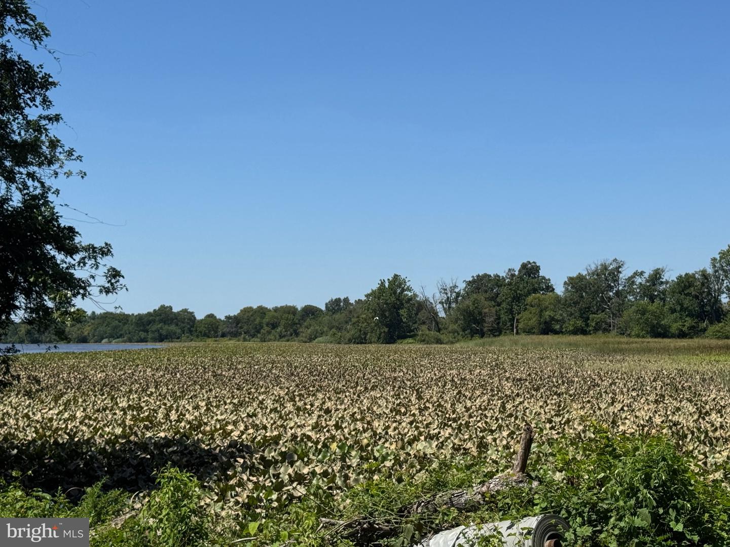 Delanco, New Jersey, 08075, United States, 5 Bedrooms Bedrooms, ,3 BathroomsBathrooms,Residential,Active,1914605