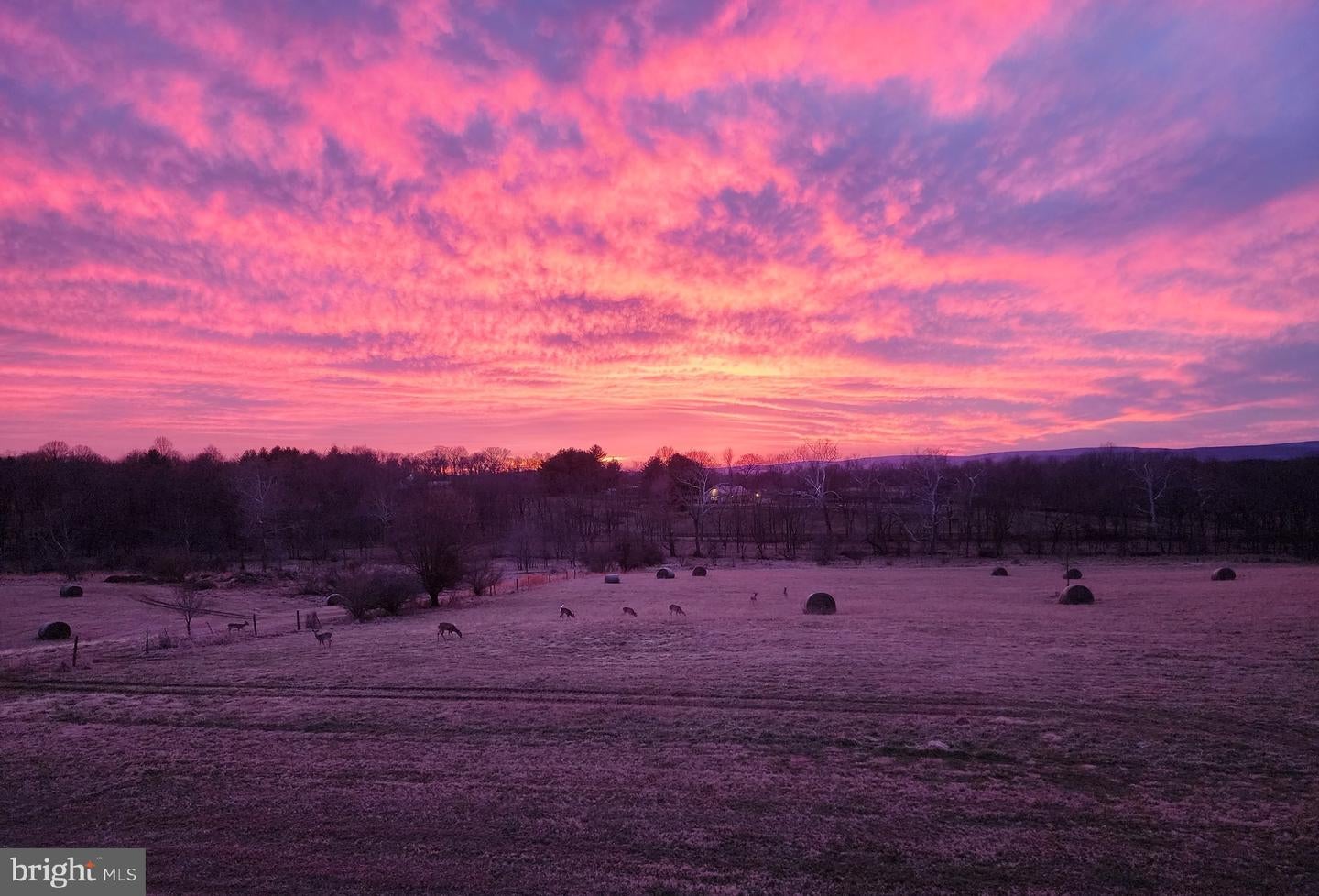 Waterford, Virginia, 20197, United States, 4 Bedrooms Bedrooms, ,5 BathroomsBathrooms,Residential,Active,1771409